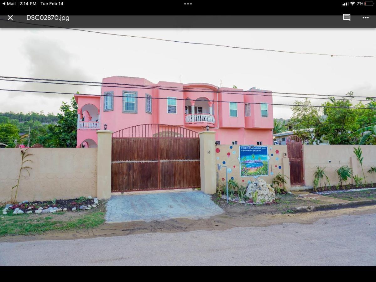 A Taste Of Jamaica Lavern'S Place Ocho Ríos Extérieur photo